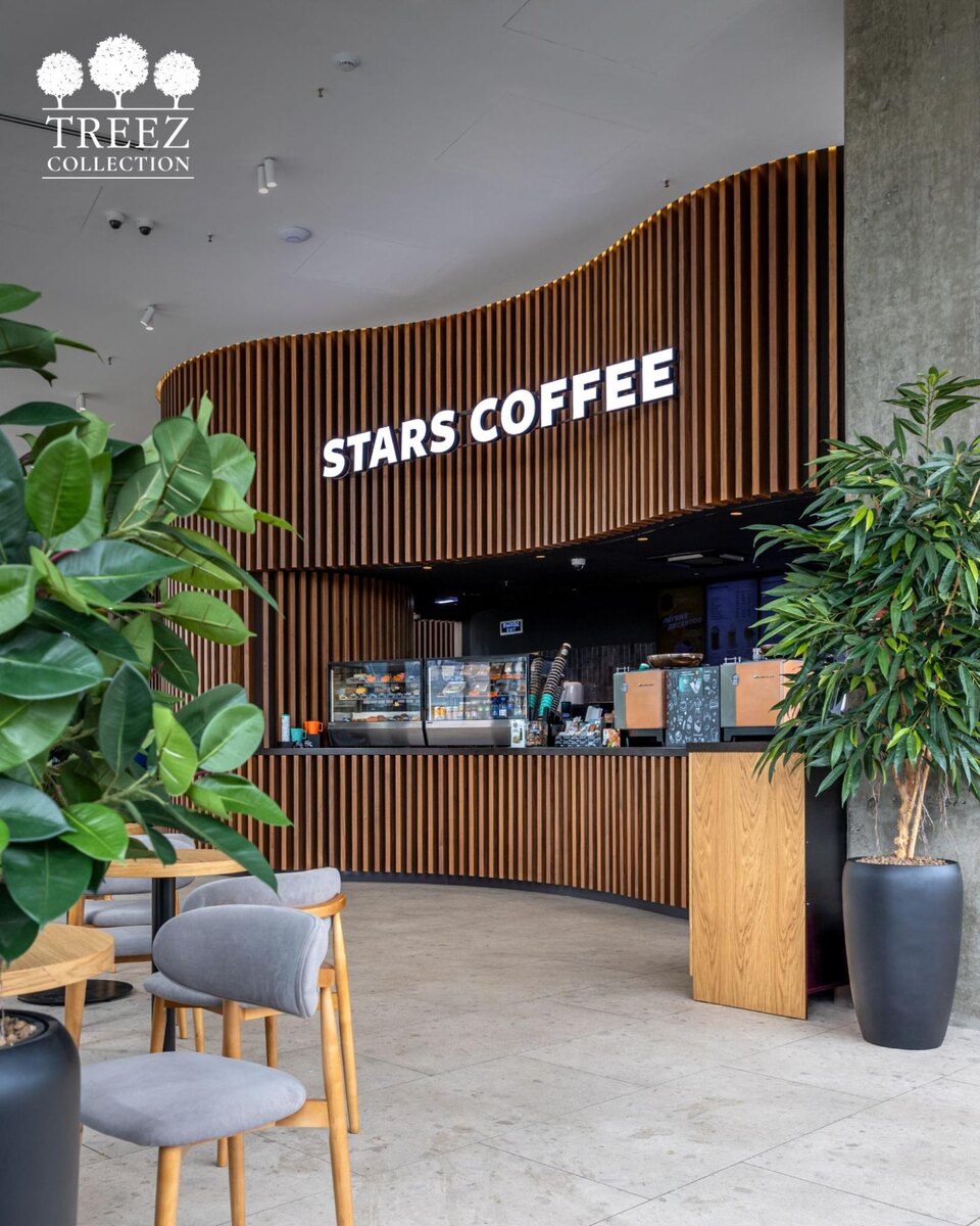 Зеленая гармония: Как Stars Coffee оживляет индустриальный стиль