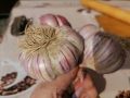 Как исправить блюдо после избыточного чеснока: простые советы